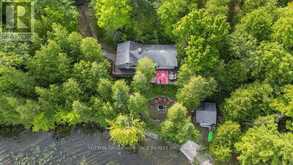 224 SHORELINE LANE Madoc