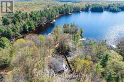 281 STEWART LAKE ROAD Georgian Bay