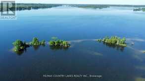 LT 1 ISLAND Kawartha Lakes