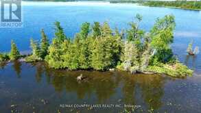 LT 1 ISLAND Kawartha Lakes