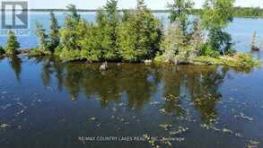 LT 1 ISLAND Kawartha Lakes