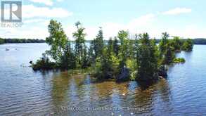 LT 1 ISLAND Kawartha Lakes