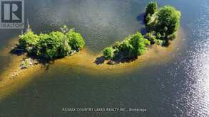 LT 1 ISLAND Kawartha Lakes