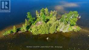 LT 1 ISLAND Kawartha Lakes