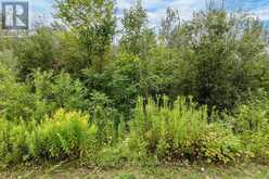 LOT 25 ROBINSON ROAD Wasaga Beach