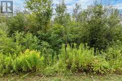 LOT 25 ROBINSON ROAD Wasaga Beach