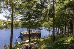 22-26LM TAYLOR ISLAND Gravenhurst