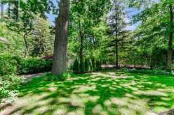 12 WYCHWOOD PARK Toronto