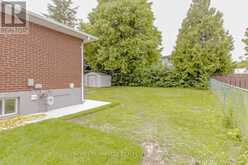 62 ELGIN DRIVE Brampton 