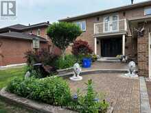 BASMENT - 426 WYCLIFFE AVENUE Vaughan