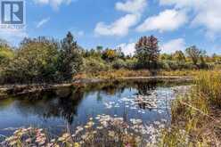 20385 SIDEROAD 18A Brock