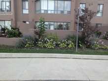 113 - 115 HILLCREST AVENUE Mississauga 