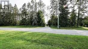 6804 PINE PLAINS ROAD Adjala-Tosorontio