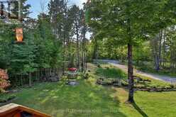 143 JULIAN LAKE ROAD North Kawartha