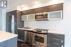 4509 - 386 YONGE STREET Toronto