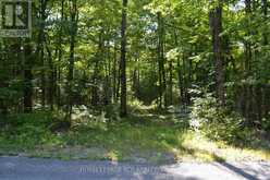 LOT 35 GLAMOR LAKE ROAD Highlands East