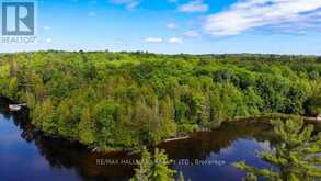 7 KRIBS ROAD Magnetawan