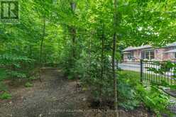 30 BLACK CREEK TRAIL Springwater 