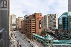 1009 - 110 CHARLES STREET E Toronto