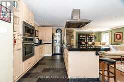 141 TOYNBEE TRAIL Toronto