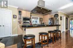 141 TOYNBEE TRAIL Toronto