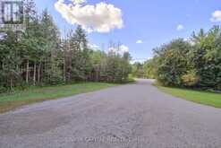 22823 WEIRS SIDE ROAD Georgina 