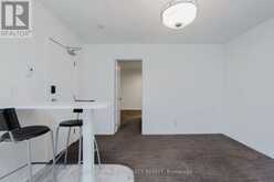 SUITE 3 - 307 PACIFIC AVENUE Toronto