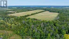 2242 COUNTY ROAD 3 Prince Edward County