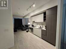 307 - 55 MERCER STREET Toronto