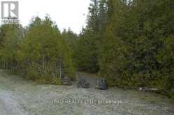 308 IRA LAKE ROAD Northern Bruce Peninsula