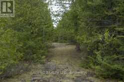 308 IRA LAKE ROAD Northern Bruce Peninsula