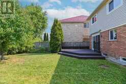 209 QUEEN MARY DRIVE Brampton