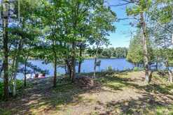 44 BELL LAKE ROAD McDougall