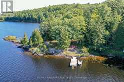 44 BELL LAKE ROAD McDougall