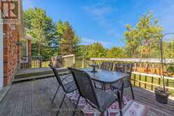 337 SCENIC DRIVE Brant 