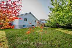 3 DINEEN COURT Kitchener