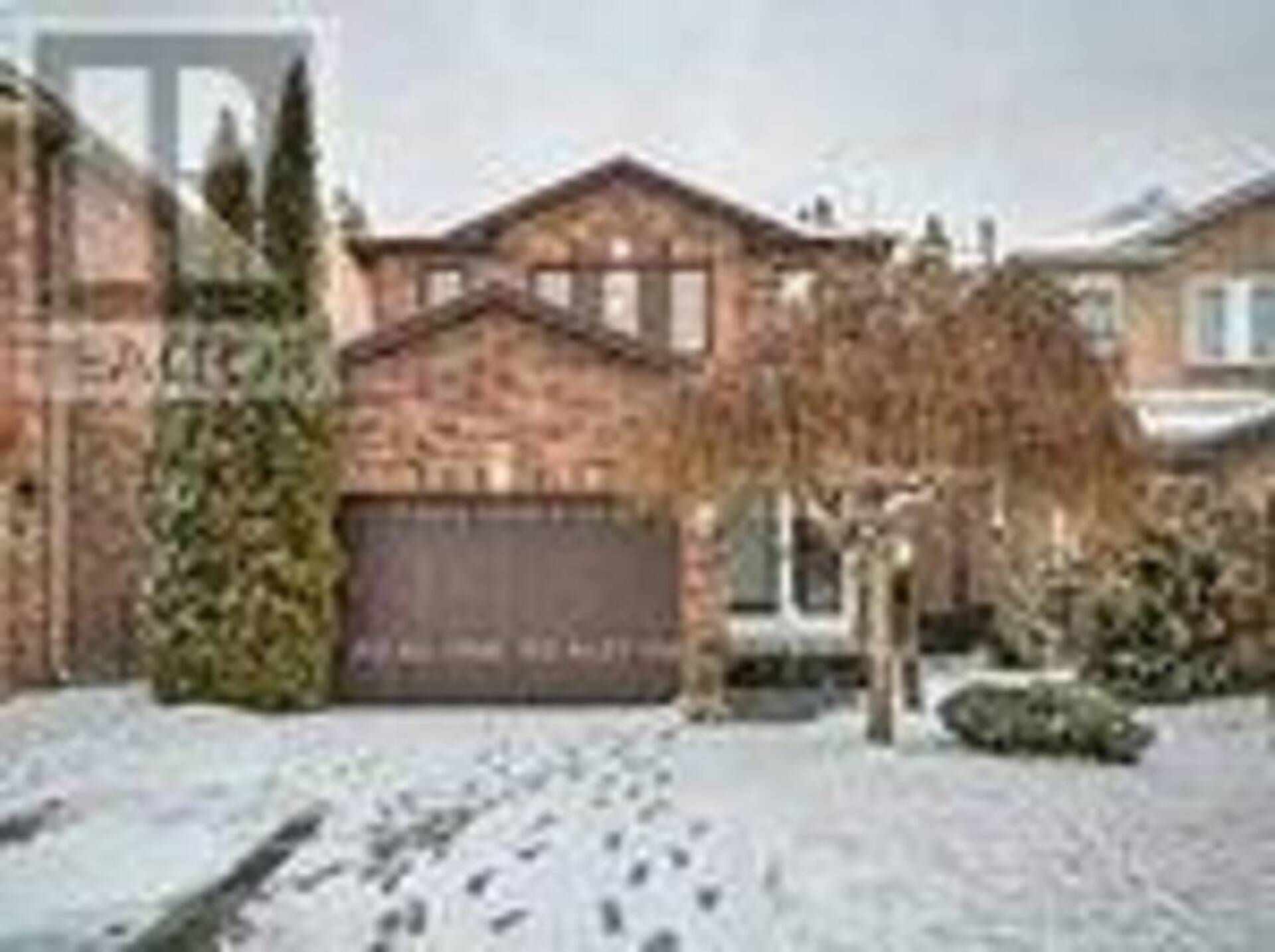 31 COUGAR COURT Richmond Hill 