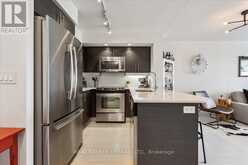 1319 - 85 EAST LIBERTY STREET Toronto