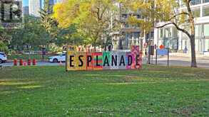 704 - 222 THE ESPLANADE Toronto