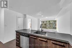 505 - 11 ST JOSEPH STREET Toronto