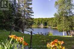 1305 BELLWOOD ACRES ROAD Lake of Bays