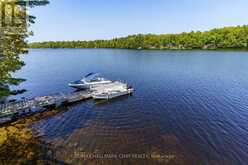 124 HEALEY LAKE WATER The Archipelago