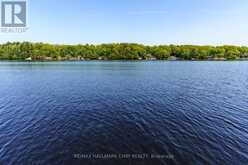 124 HEALEY LAKE WATER The Archipelago