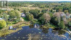 14 HARGRAVE ROAD Kawartha Lakes