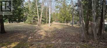 60 ROBERT STREET S Wasaga Beach