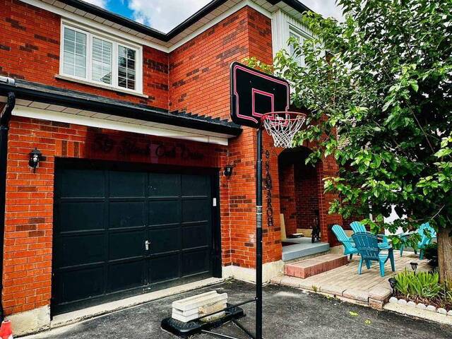 59 BLACK OAK DRIVE Brampton Ontario