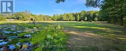 1961 TOWNLINE ROAD Fort Erie