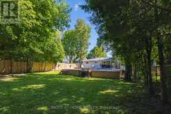 50 BYTHIA STREET Orangeville