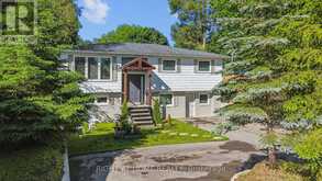 50 BYTHIA STREET Orangeville