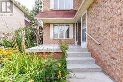 61 DRINKWATER ROAD Brampton 